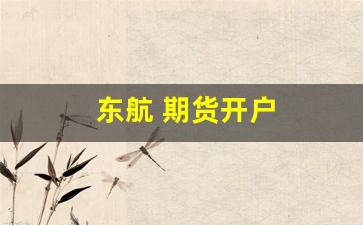 东航 期货开户(东航期货开户流程)_https://www.xzdzcjn.com_科创板_第1张
